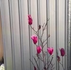 Meet your Posher, Sue